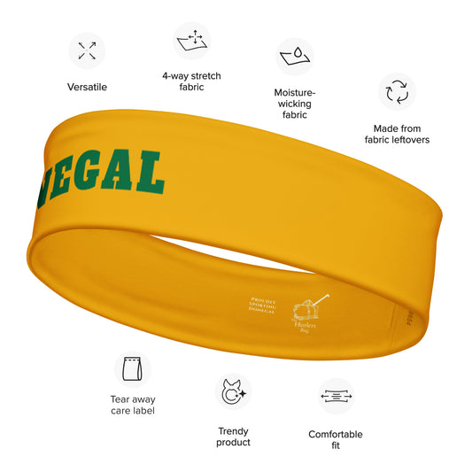Donegal Headband – County Colours-Inspired-The Hurlers Bag