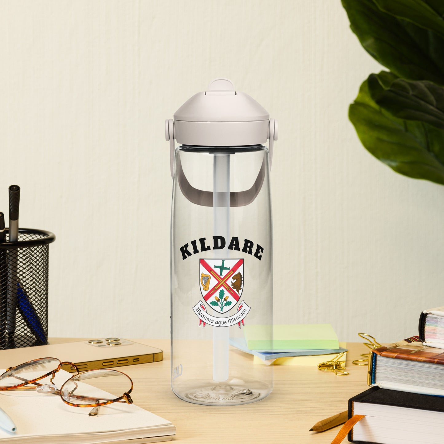 County Kildare–Inspired Flip Straw Water Bottle | Irish Heritage – 739ml (25oz)-The Hurlers Bag