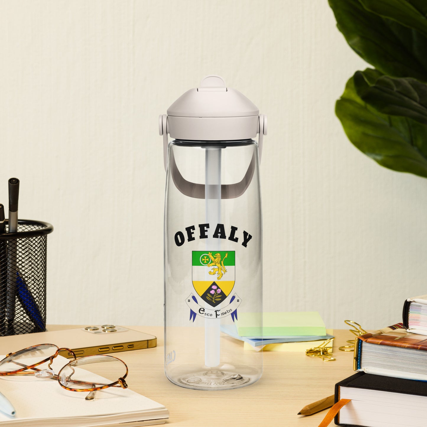 County Offaly–Inspired Flip Straw Water Bottle | Irish Heritage – 739ml (25oz)-The Hurlers Bag