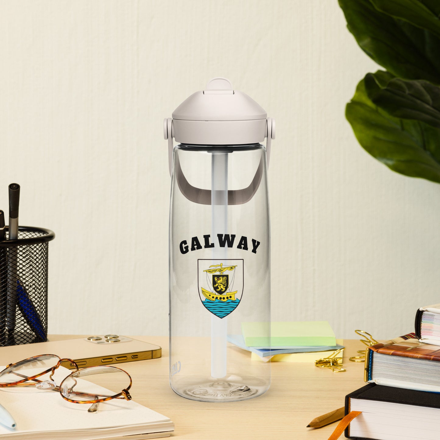 County Galway–Inspired Flip Straw Water Bottle | Irish Heritage – 739ml (25oz)-The Hurlers Bag