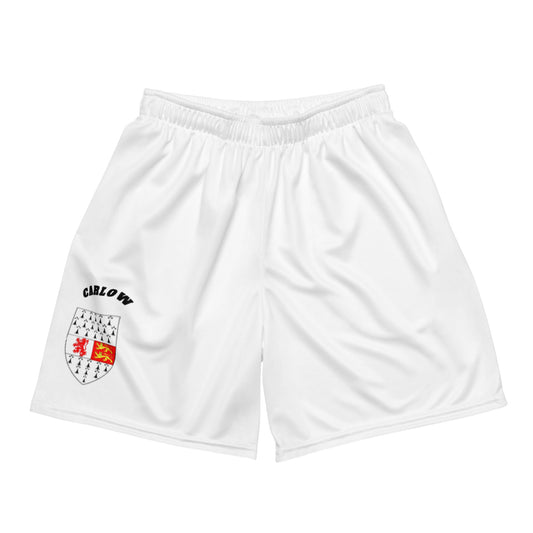 County Carlow-Inspired Mesh Sport Shorts – White | The Hurlers Bag-The Hurlers Bag