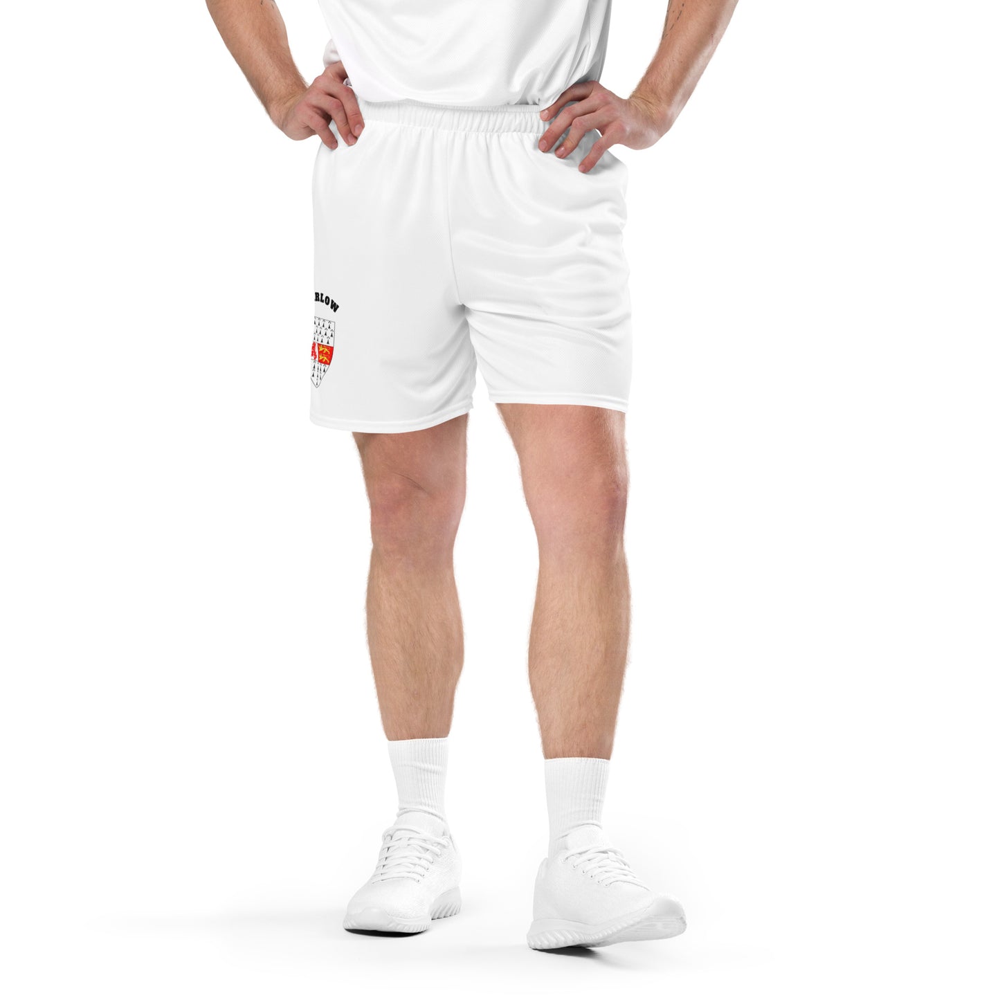 County Carlow-Inspired Mesh Sport Shorts – White | The Hurlers Bag-The Hurlers Bag