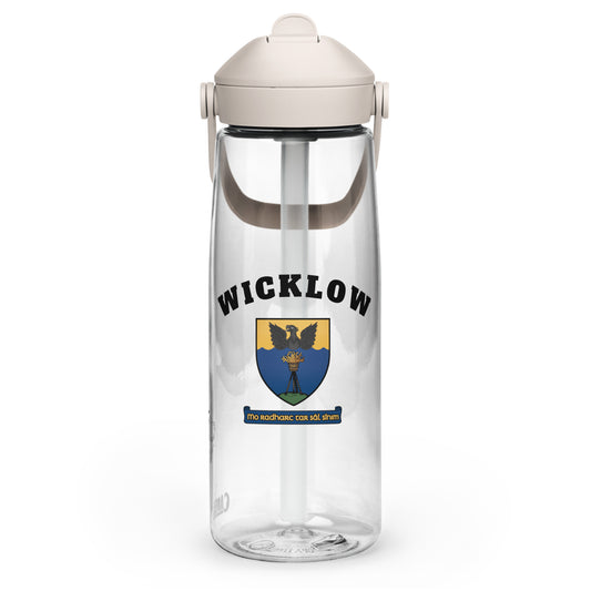 County Wicklow–Inspired Flip Straw Water Bottle | Irish Heritage Collection – 25oz-The Hurlers Bag