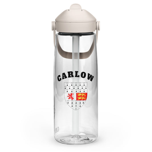 County Carlow–Inspired Flip Straw Water Bottle | Irish Heritage – 739ml (25oz)-The Hurlers Bag