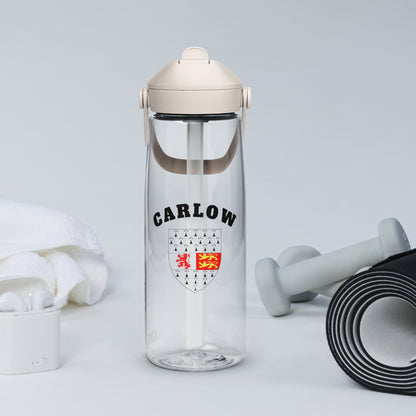 County Carlow–Inspired Flip Straw Water Bottle | Irish Heritage – 739ml (25oz)-The Hurlers Bag