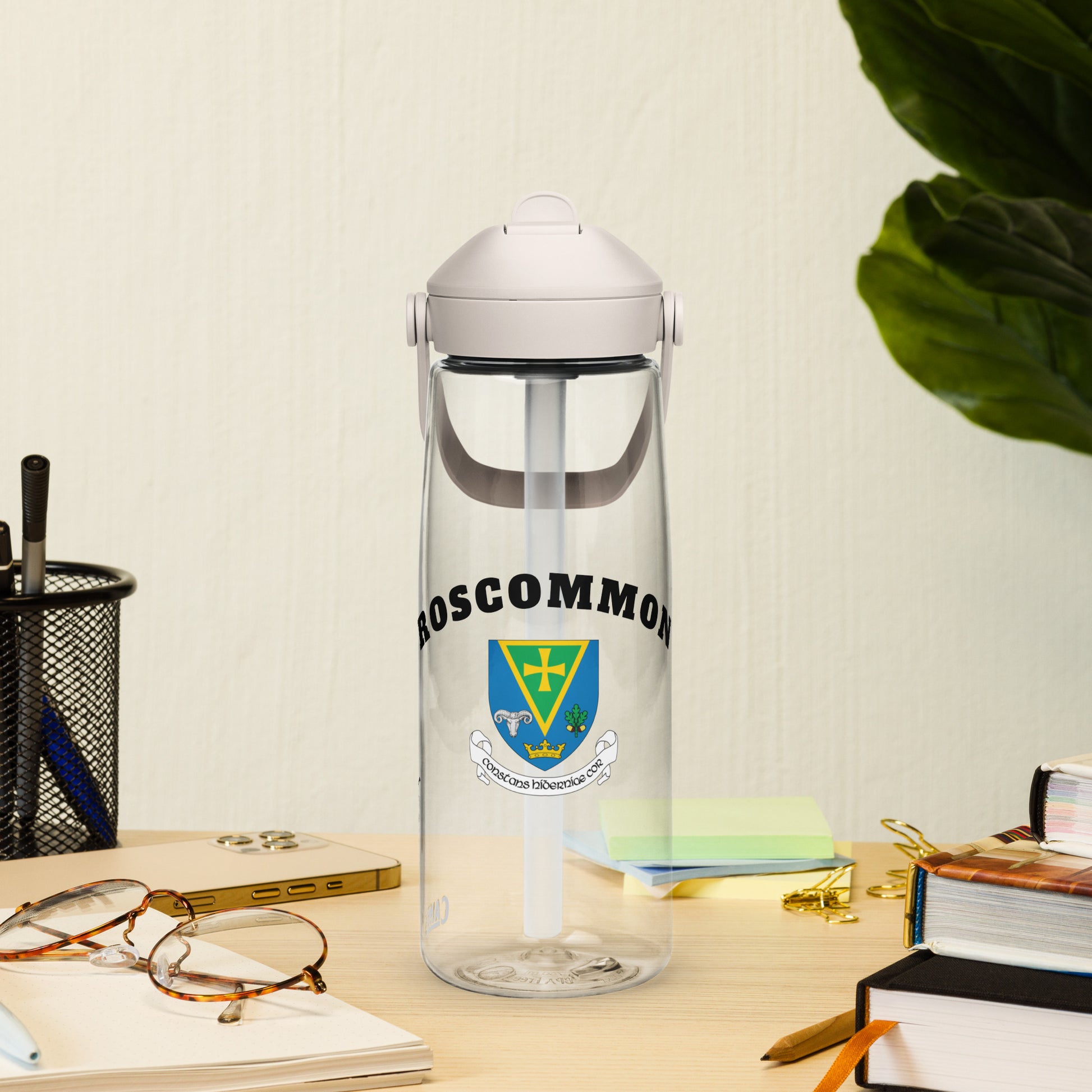 County Roscommon–Inspired Flip Straw Water Bottle | Irish Heritage – 739ml (25oz)-The Hurlers Bag